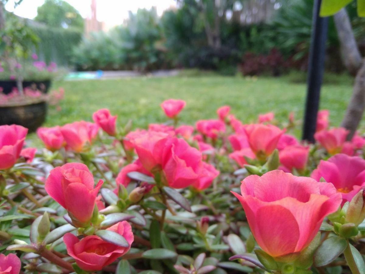 Cove Tevana Seminyak  Luaran gambar